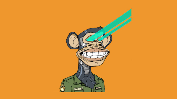 Major NFT Indicies Stable After NFT Trader Hack Major NFT Indicies Stable After NFT Trader Hack