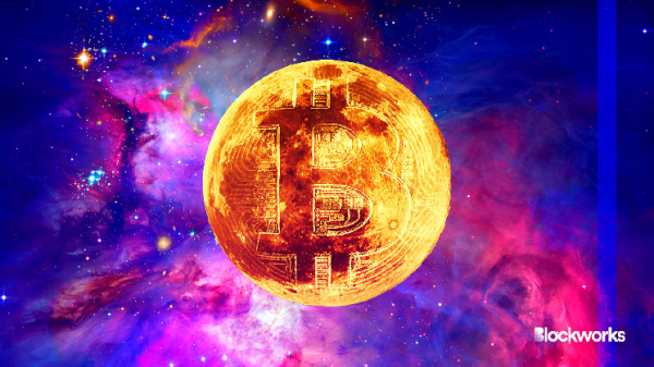 Web3 Watch: X calls it quits on NFT profile pics